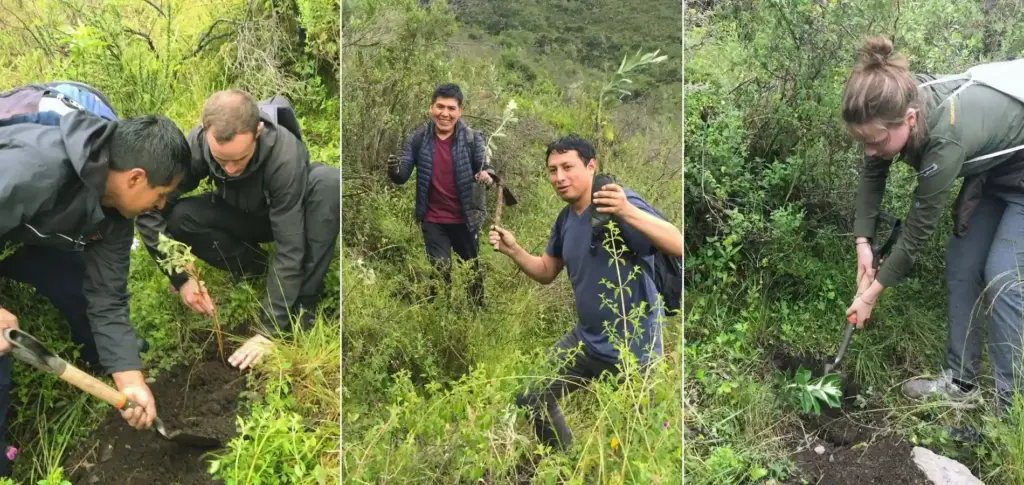 Gran Cruzada Verde Empresarial: Agencias de turismo realizar&aacute;n una jornada de arborizaci&oacute;n en la provincia de Urubamba