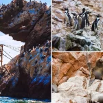 Paracas