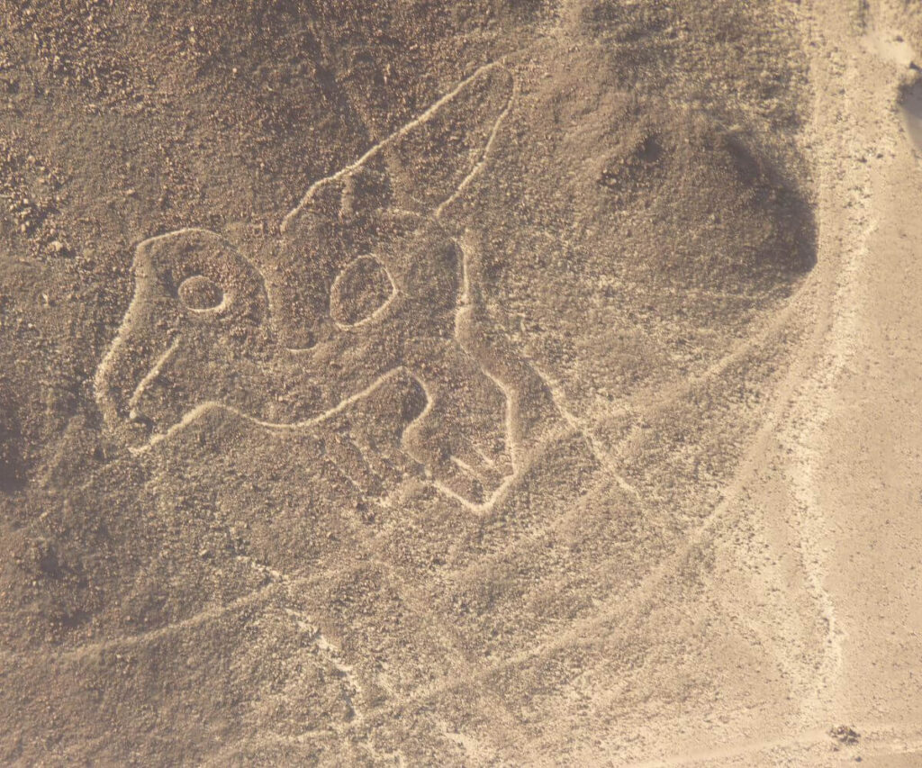 Lineas de Nazca 1