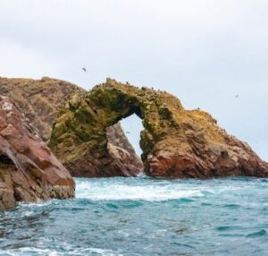 islas ballestas - Peru