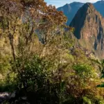Consejos pr&aacute;cticos para Camino Inca
