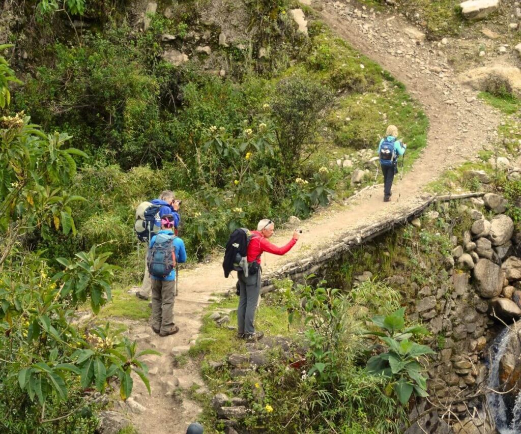 Llleva el equipo necesario para la caminata