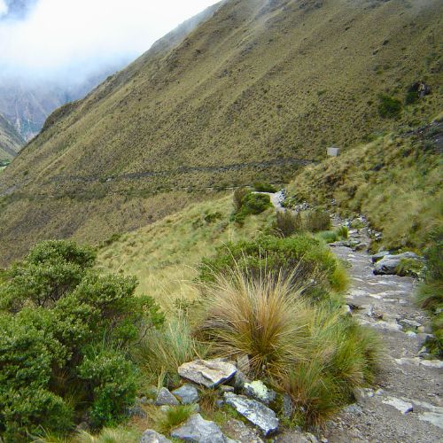 CAMINOS INCA