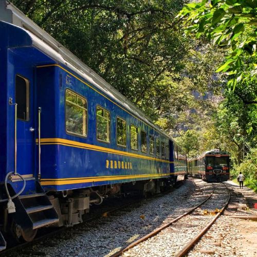 tren a Machu Picchu