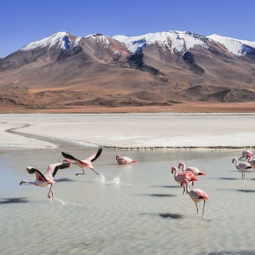 salar da Bolívia