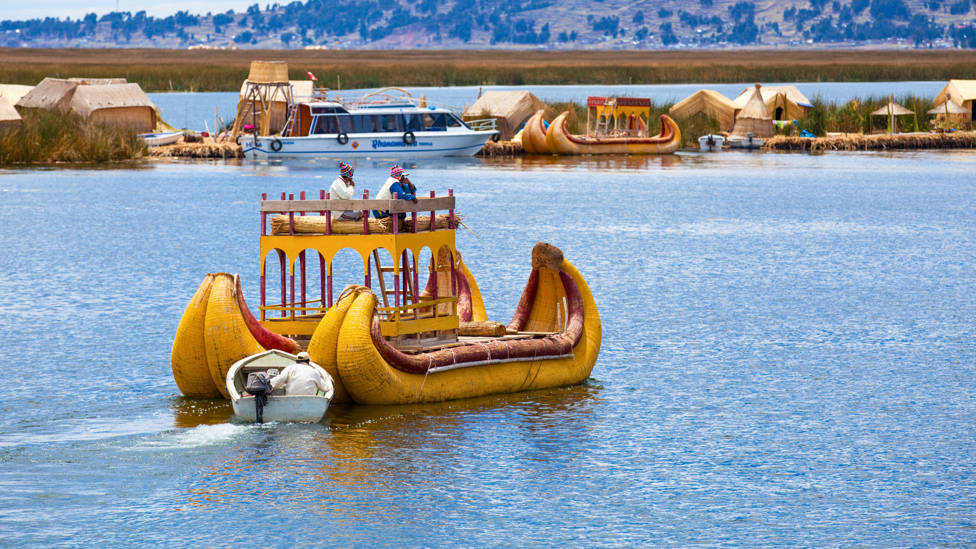 Birds of Lake Titicaca: Unique Species to Observe