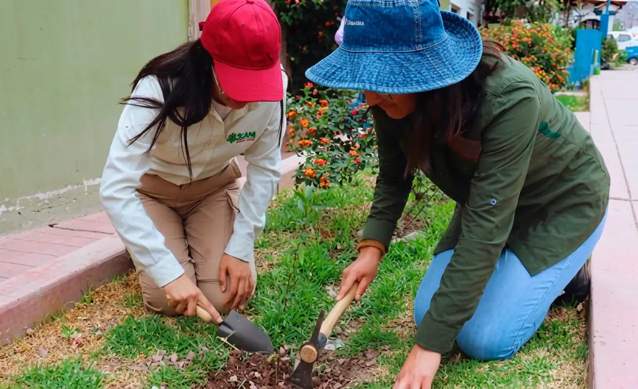 RESPECT FOR THE ENVIRONMENT