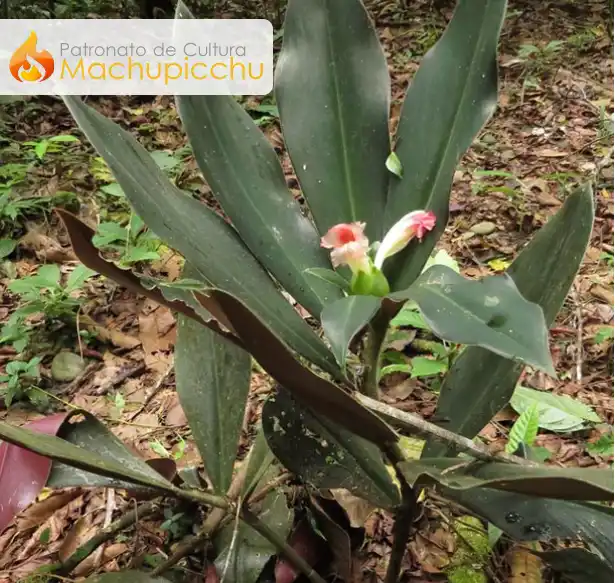 Responsabilidad Social