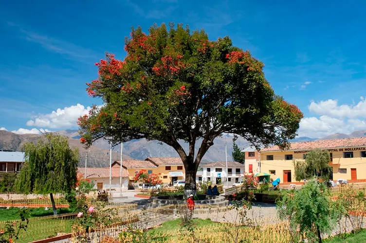Mollepata Square