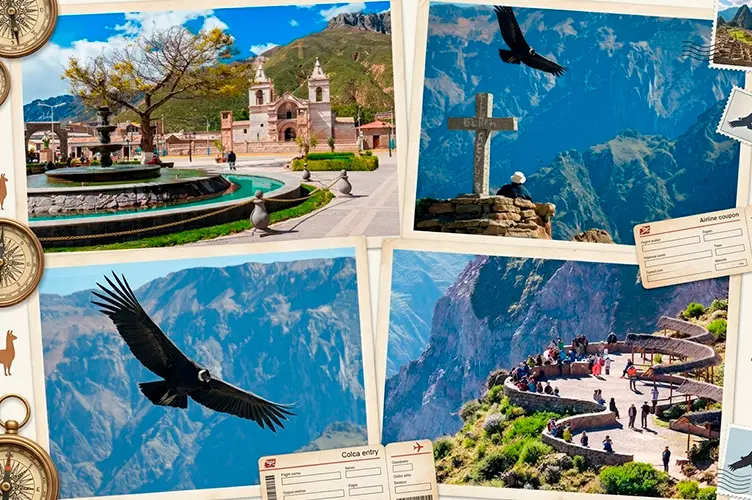 Pool Tour Arequipa Colca Puno