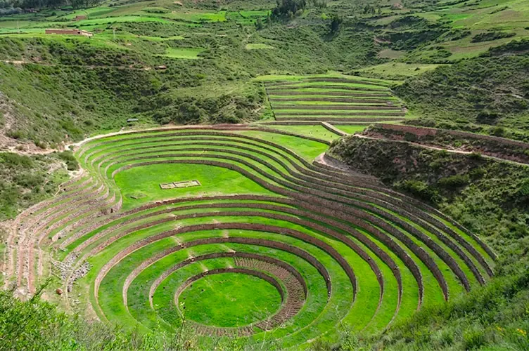 Moray
