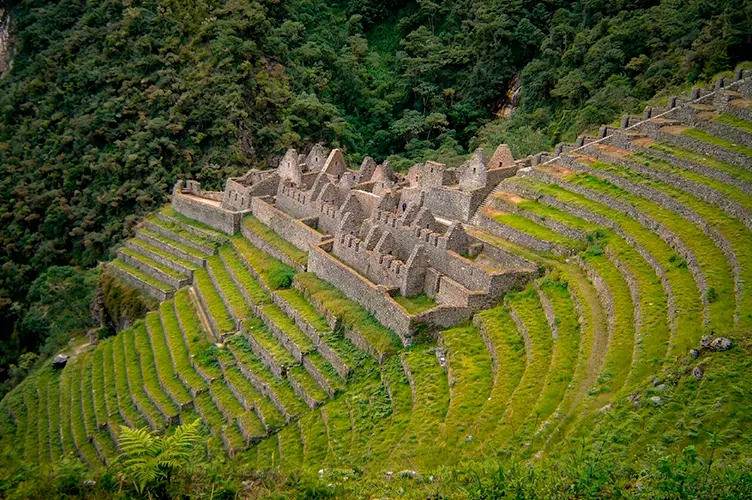 Wiñaywayna