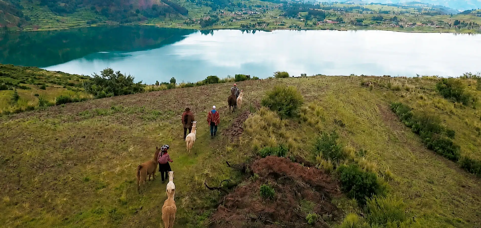 TREKKING COM LHAMAS HUCHUY QOSQO