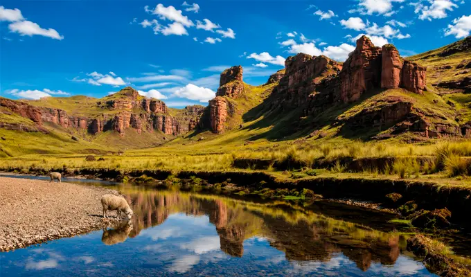 Cânion de Tinajani: a impressionante floresta de pedra escondida em Puno 1 canon soleado con ovejas al rio
