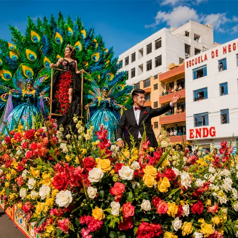 festival de la primavera 1 1