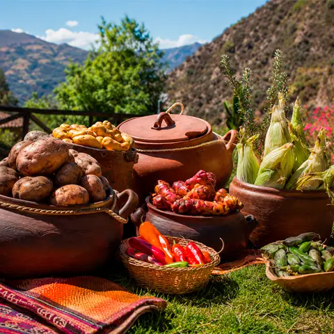 Pachamanca: The Andean Culinary Tradition of Cooking Underground 5 ingredientes de la pachamanca