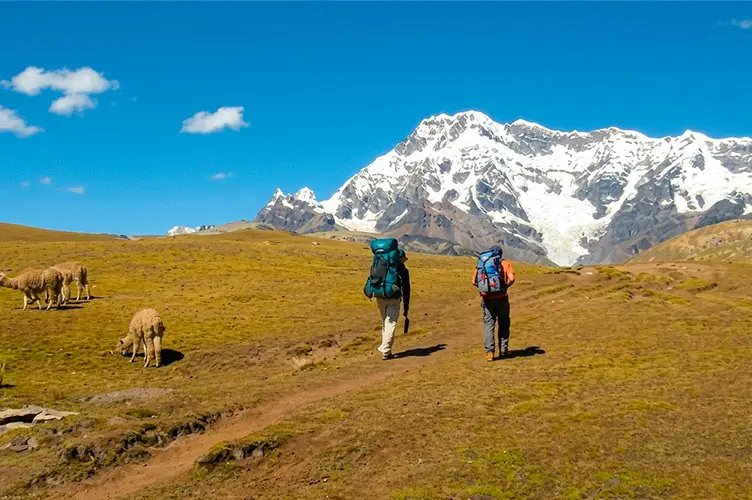 Pacchanta Pass