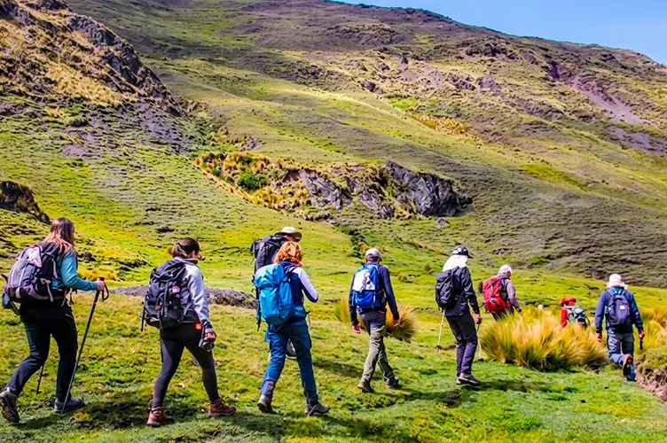 Trek Lares